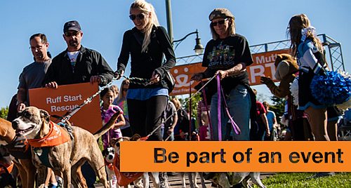 Strut Your Mutt (Be Part of Event)