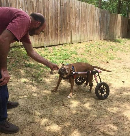 Callie Playing in her Wheelchair