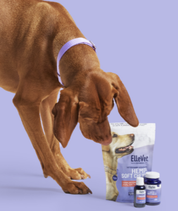 Ellevet options
