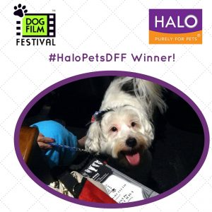 #HaloPetsDFF Winner