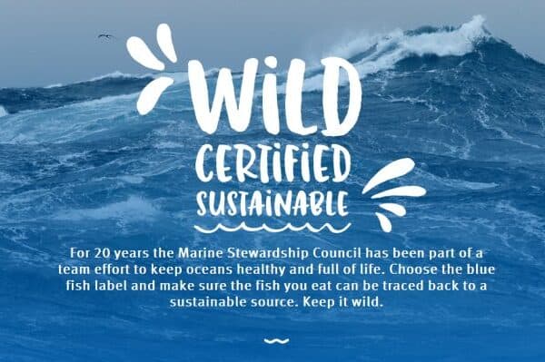 Sustainable Fish to Eat  Marine Stewardship Council