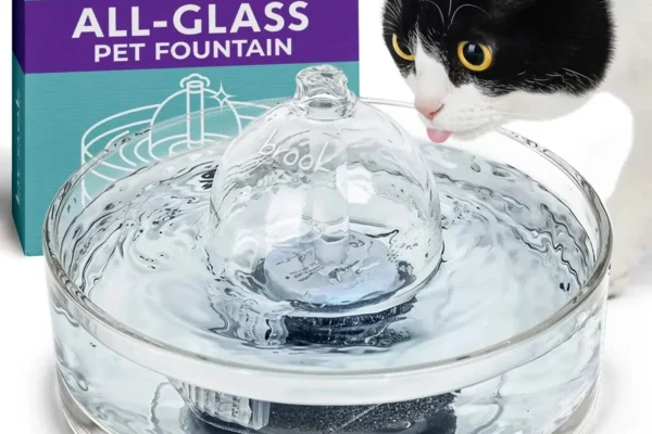 cat drinking from glass water fountain