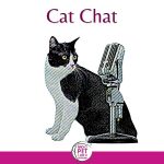 Cat Chat (logo)
