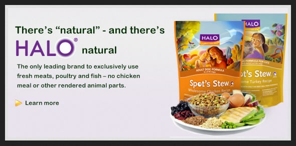 Halo, all natural kibble, in bags and on plate
