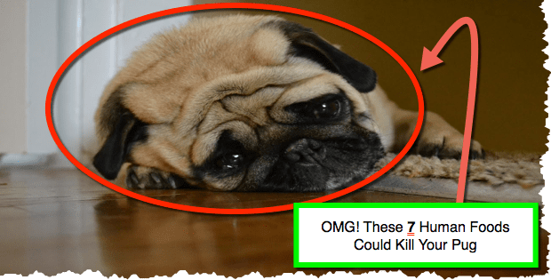 human foods that can kill dogs