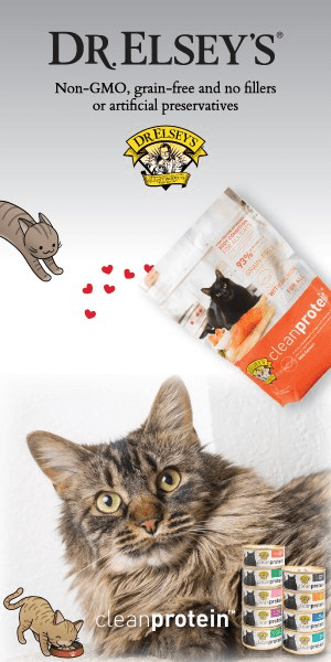 Dr elsey clean hot sale protein cat food