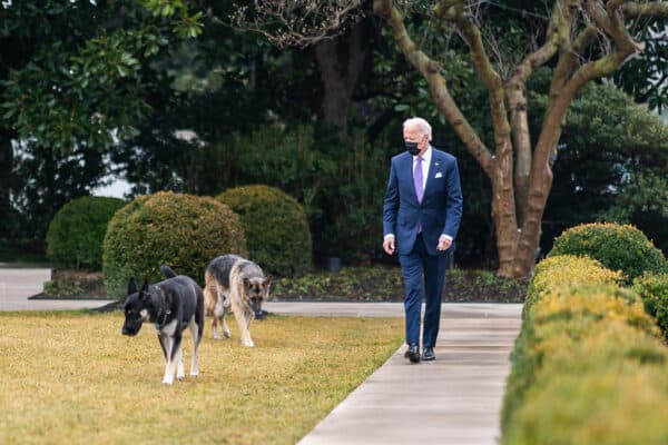 President Biden walking with 2 dogs