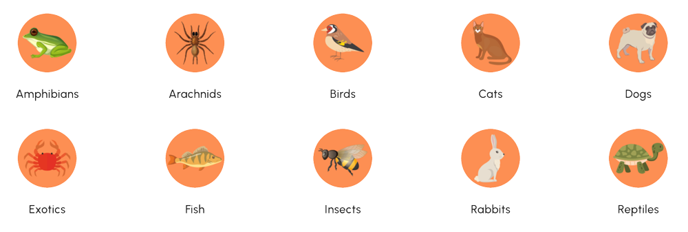 pet classification categories for scratches