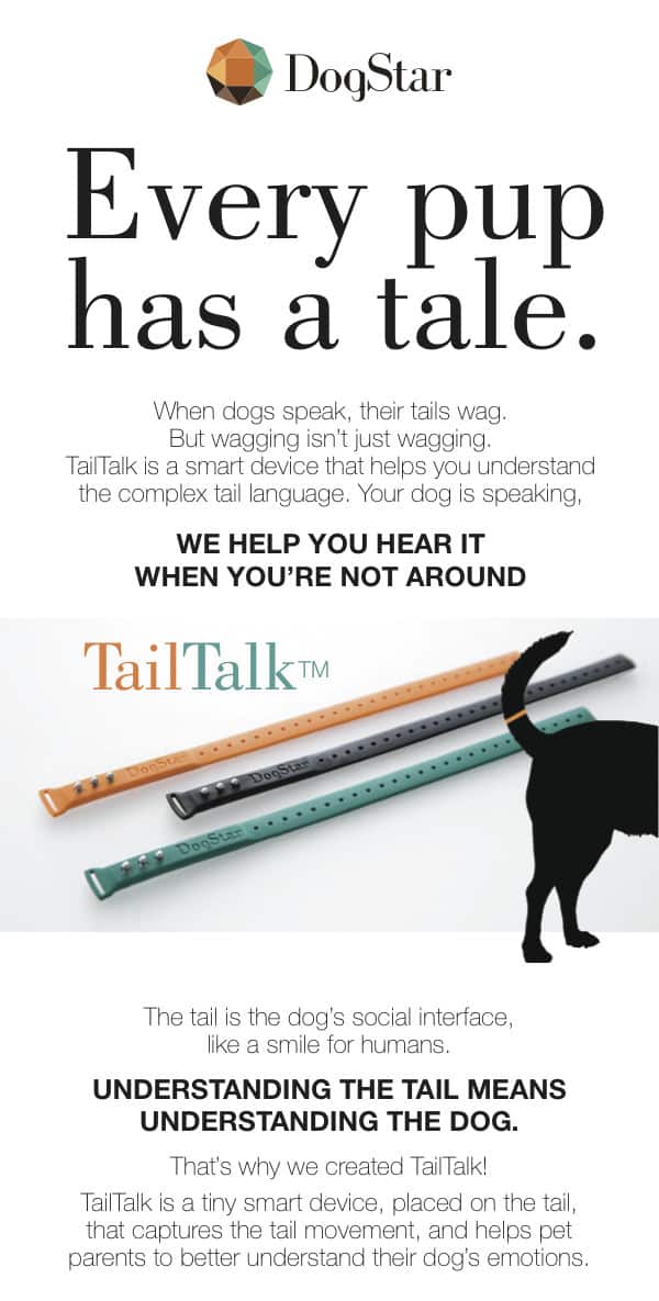 tailtalk-dogstar