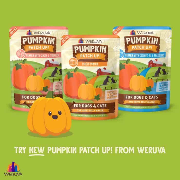 Weruva Pumpkin Patch Up - 3 pouches